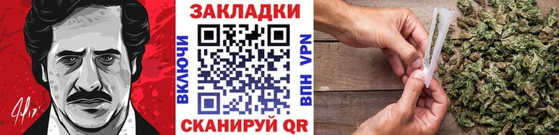 APVP Москва