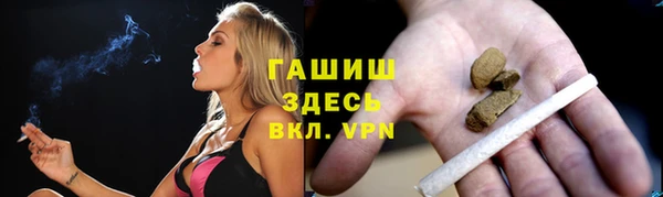apvp Алзамай