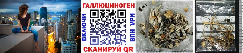 Псилоцибиновые грибы GOLDEN TEACHER где найти Москва